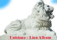 Lion - Symbol of Power