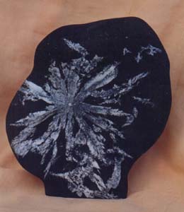 Cbl-05 .jpg (19660 bytes)