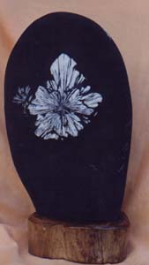 Cbl-01.jpg (12613 bytes)