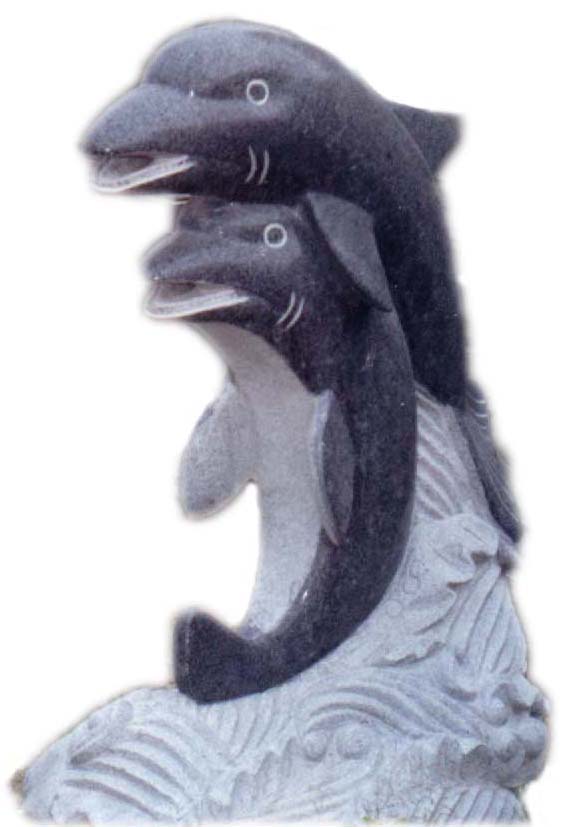Fn Dolphin.jpg (43519 bytes)